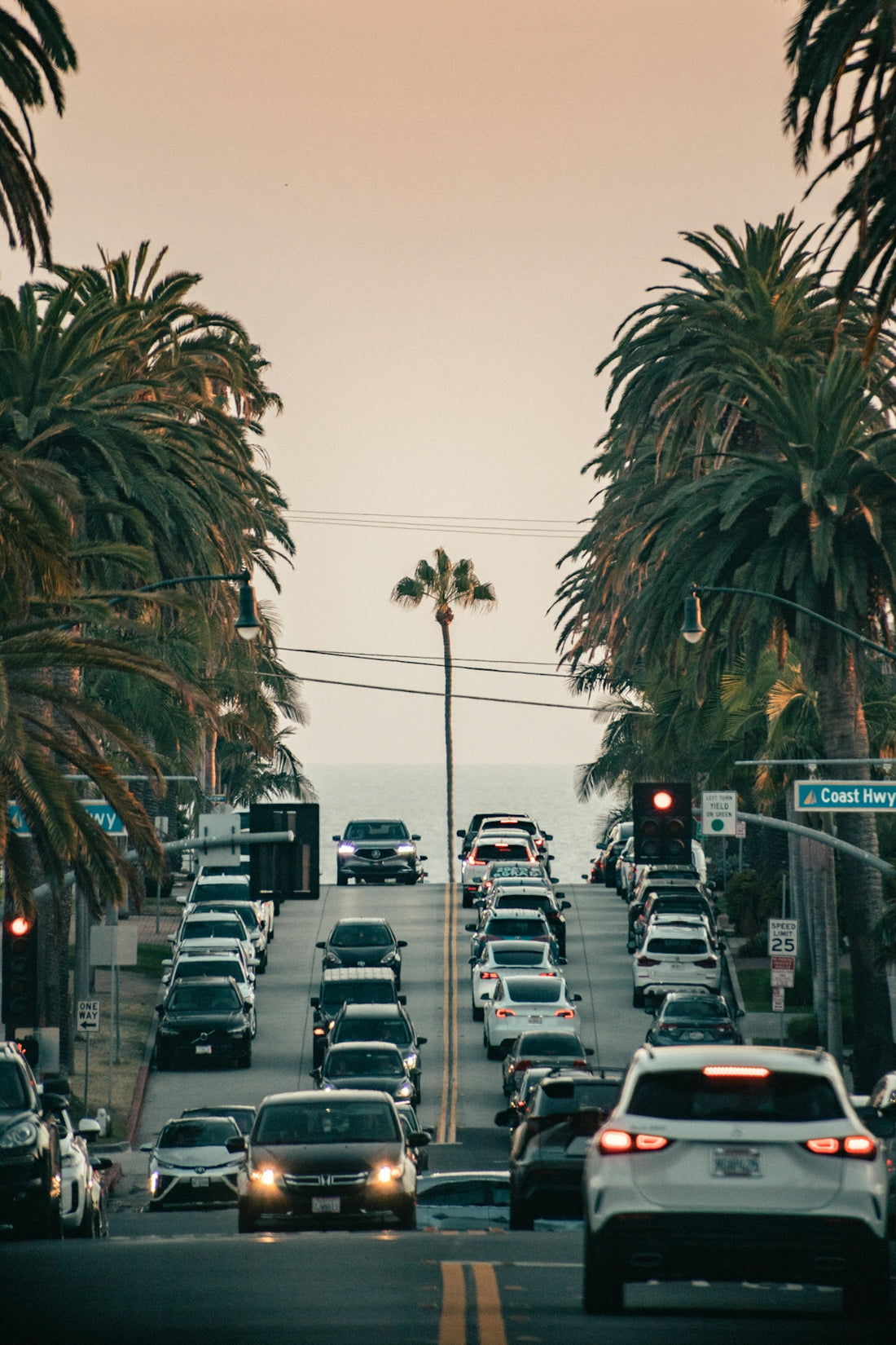 Traffic on a coastal road lined with palm trees.
