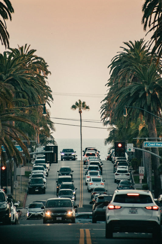 Traffic on a coastal road lined with palm trees.