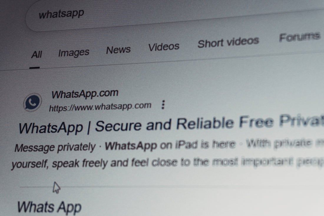 Whatsapp search results on a computer screen.